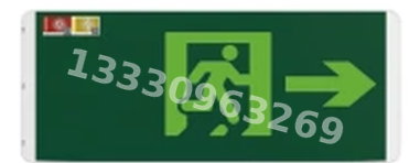 成都敏华NST消防应急灯具-自控单面灯 / 双面灯