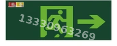 成都敏华NST消防应急灯具-自控三防单面灯 / 双面灯
