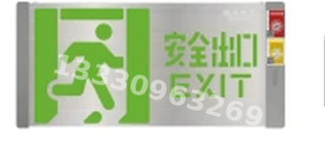 成都敏华NST消防应急灯具-中型单面轴画标志灯