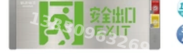 成都敏华NST消防应急灯具-小型双面轴画标志灯