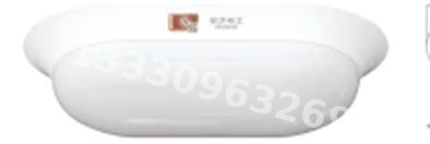 成都敏华NST消防应急灯具-全塑椭圆防水吸顶灯