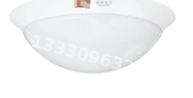 成都敏华NST消防应急灯具-全塑圆形防水吸顶灯