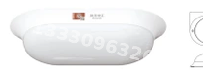 成都敏华NST消防应急灯具-全塑椭圆防水吸顶灯