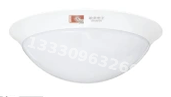 成都敏华NST消防应急灯具-全塑圆形防水吸顶灯